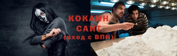 крисы Сосновый Бор
