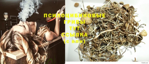 альфа пвп Сосновоборск
