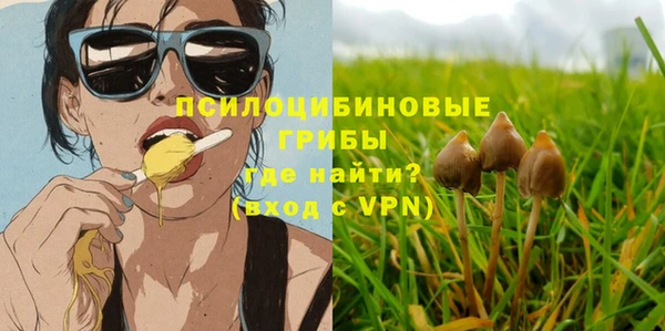 крисы Сосновый Бор