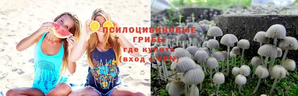 дмт Балахна
