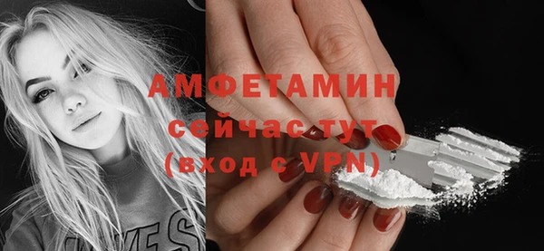 крисы Сосновый Бор